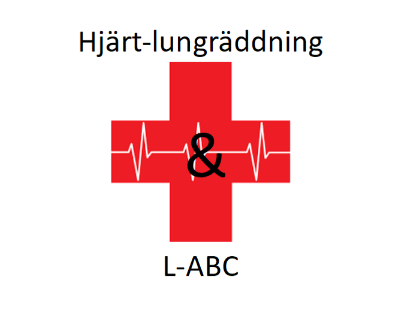 Utbildning om hjärt och lungräddning